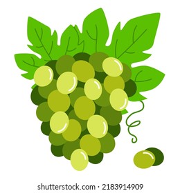 Montón de uvas verdes. Ilustración vectorial de uvas con hojas sobre fondo blanco.