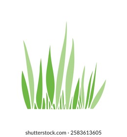 A bunch of green grass. Hand drawn color vector illustration, clip art in flat style, isolated. Nature theme.