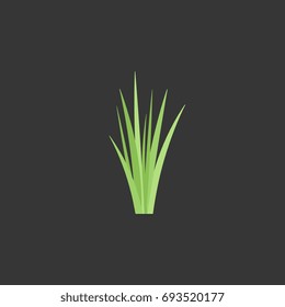 Bunch of green grass vector flat icon, Flat design of agriculture, farming, plantation object on the dark background, vector illustration with shadows