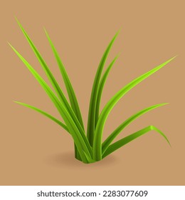 bunch of green grass vector illustration