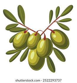 A bunch of green olives hanging on a branch. The olives are ripe and ready to be picked.