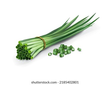 A bunch of green onions. Vector illustration.