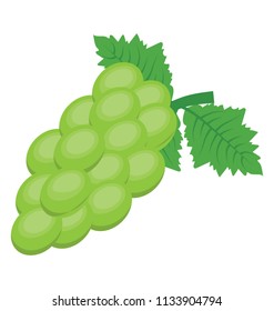 A bunch of green, small healthy fruit with antioxidant properties representing grapes