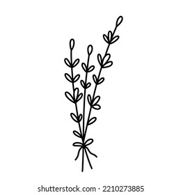 Bunch of herbs isolated on white background. Vector hand-drawn illustration in doodle style. Perfect for decorations, logo, various designs