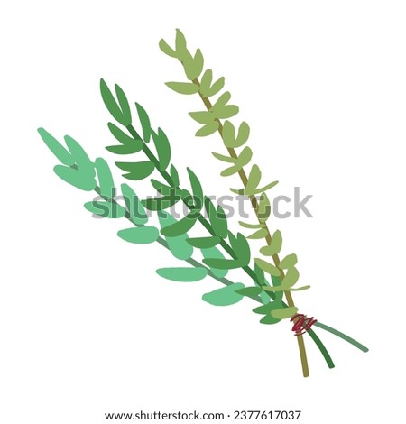 Bunch of herbs on white background