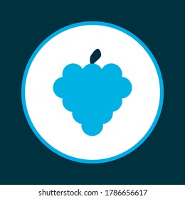 Bunch icon colored symbol. Premium quality isolated grapes element in trendy style.