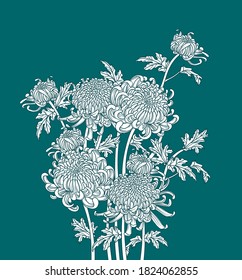 Bunch of Japanese flower chrysanthemum. Outline drawing ink style. Illustration luxury design. Monochrome graphic. 
