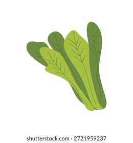 Bunch of kale flat illustration symbolizing superfood, health, and diet. Modern vector object.