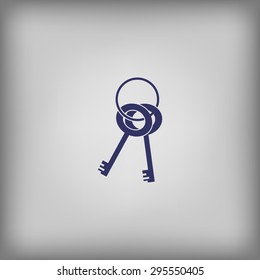 Bunch of keys  icon  