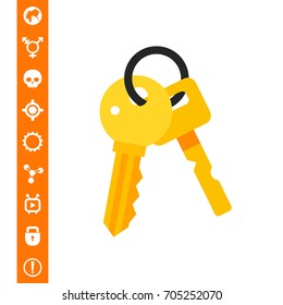 Bunch of Keys Icon