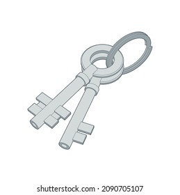 Bunch of keys, keys illustration. Lock or unlock sign.  Password isometric, three-dimensional Metal Vector icon.