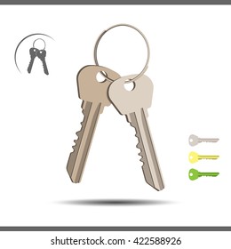 Bunch of keys isolated over white background. Vector illustration 10 EPS