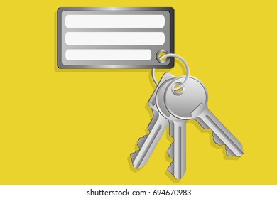 Bunch of keys with keychain.graphic vector