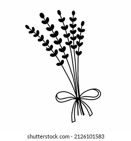 Bunch of lavender with beautiful ribbon. Vector doodle illustration. Icon is black line.