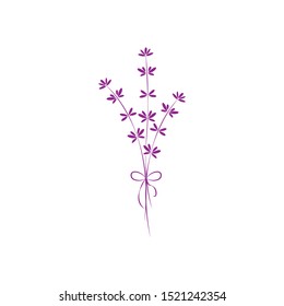 Bunch of lavender flowers on a white background.