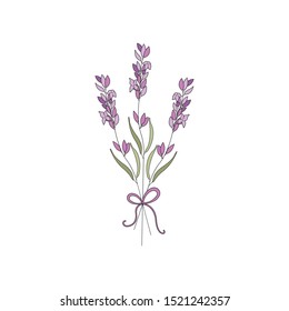 Bunch of lavender flowers on a white background.
