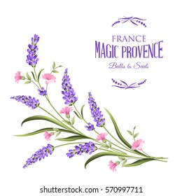 Bunch of lavender flowers on a white background.Botanical illustration. Vintage style. Making gifts of paper and textiles. Vector illustration.