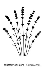 Bunch of lavender flowers and lavender flowers separated - black silhouette - vector