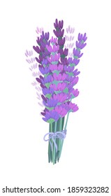 A bunch of lavender. Vector illustration