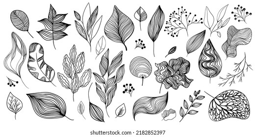 Bunch of leaves, branches, burdock, berries, bushes, viburnum, rowan. Black and white linear set of autumn botanical design elements isolated on white background