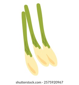 Bunch of Lemongrass Illustration herb