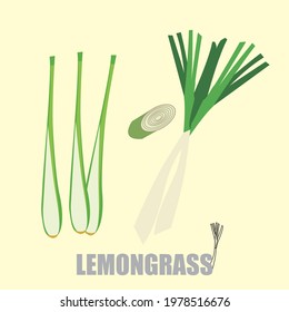 Bunch of lemongrass tied with rope isolated on white background. Vector illustration of fragrant herb in cartoon flat style. Set of Lemongrass Vegetable Slices. Organic  healthy food isolated element