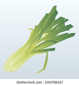 A bunch of lemongrass vector illustration