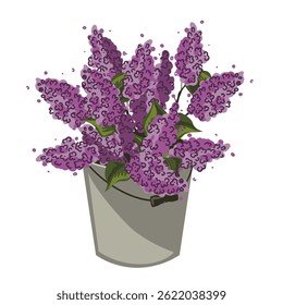 Um monte de ramos lilases em um balde de metal. Buquê de lilás roxo. Ilustração isolada de vetor