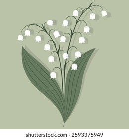 Bunch of lily of the valley flowers with green leaves on green background. Vector botanical illustration.