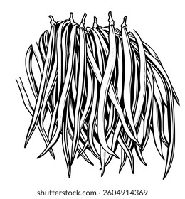 Bunch of Long Green Beans Black and White Illustration
