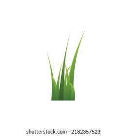 Bunch of long green grass flat style, vector illustration isolated on white background. Decorative element for design meadow, lawn or grass border, fresh nature plant