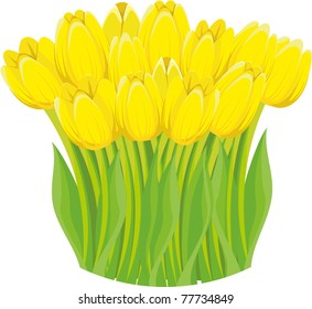 A bunch of lovely bright yellow spring tulips. Vector illustration.