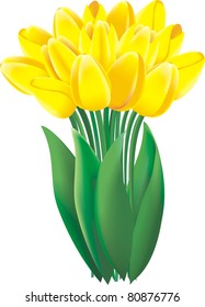A bunch of lovely bright yellow spring tulips