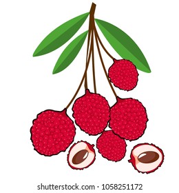 A bunch of lychee on a white background.