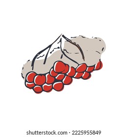 ein Haufen Bergasche unter dem Schnee