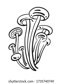 Bunch of mushrooms. Black line sketch collection of vegetables isolated on white background. Doodle hand drawn vegetable icons. Vector illustration