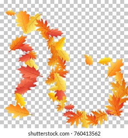 Bunch of oak leaves, abstract background seasonal vector illustration. Autumn leaves falling graphic design. Fall season specific vector background. Oak tree autumn foliage on transparent.