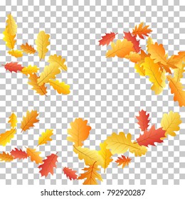 Bunch of oak leaves, abstract background seasonal vector illustration. Autumn leaves falling graphic design. Fall season specific vector background. Oak tree autumn foliage on transparent.