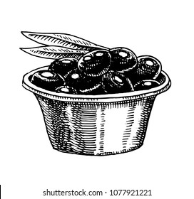Bunch of Olive oil and. Organic vegetarian product. Green plant for healthy diet. Black fruit for cooking food. Engraved hand drawn in old vintage sketch. Vector illustration for logo or badge.