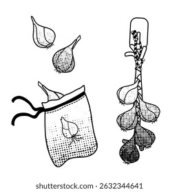 cacho de cebolas e saco de pano reutilizável com cebola, arte de linha preta e branca para vida eco-friendly