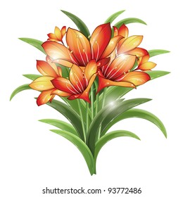 Bunch of orange lilies on a white background, vector illustration, eps-10