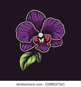 A bunch of Orchid flower with buds. Vector images