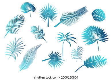 bunch of palm leaves in dark blue gradient color with turquoise
