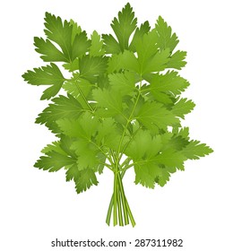 bunch of parsley