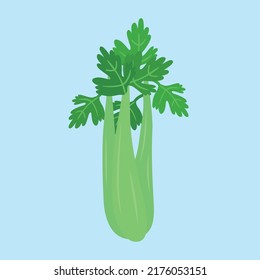 a bunch of parsley on a blue background