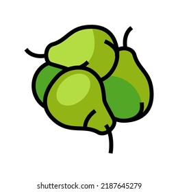 bunch pears color icon vector. bunch pears sign. isolated symbol illustration