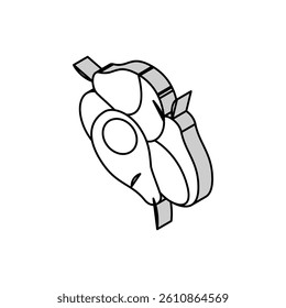 bunch pears isometric icon vector. bunch pears sign. isolated symbol illustration