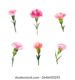 a bunch of pink flowers on a white background
