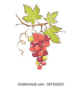 Bunch of pink grapes