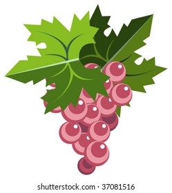 Bunch of pink grapes with leaves